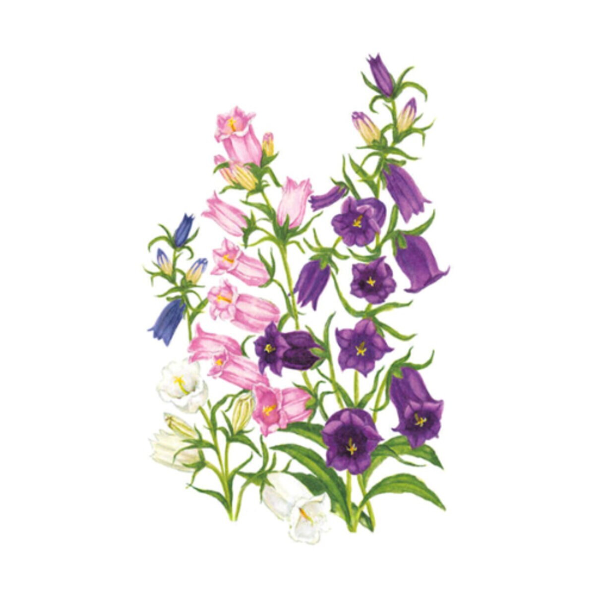 1015198-item1-07242025.24fd03df
