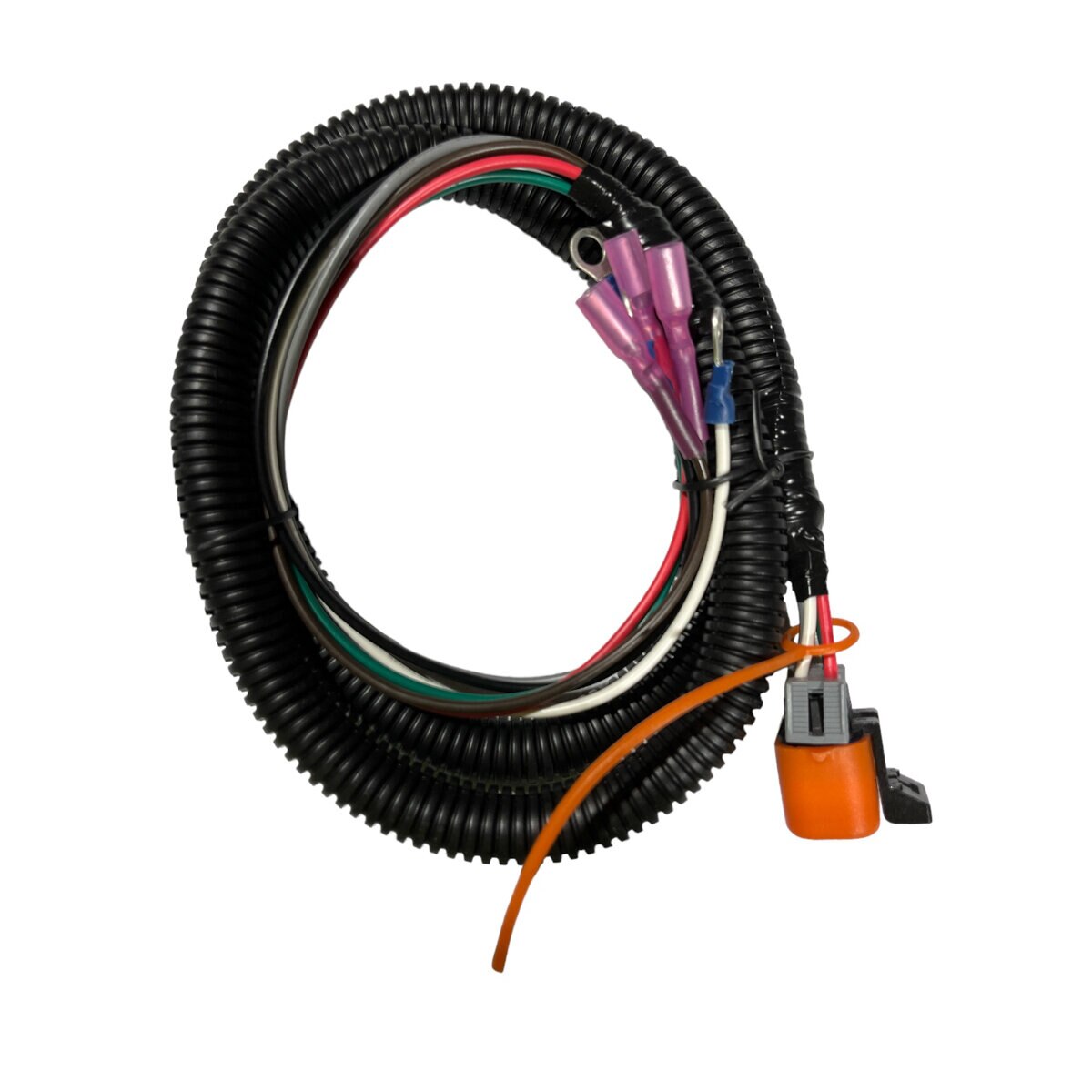 537168-1.edf18eb9
