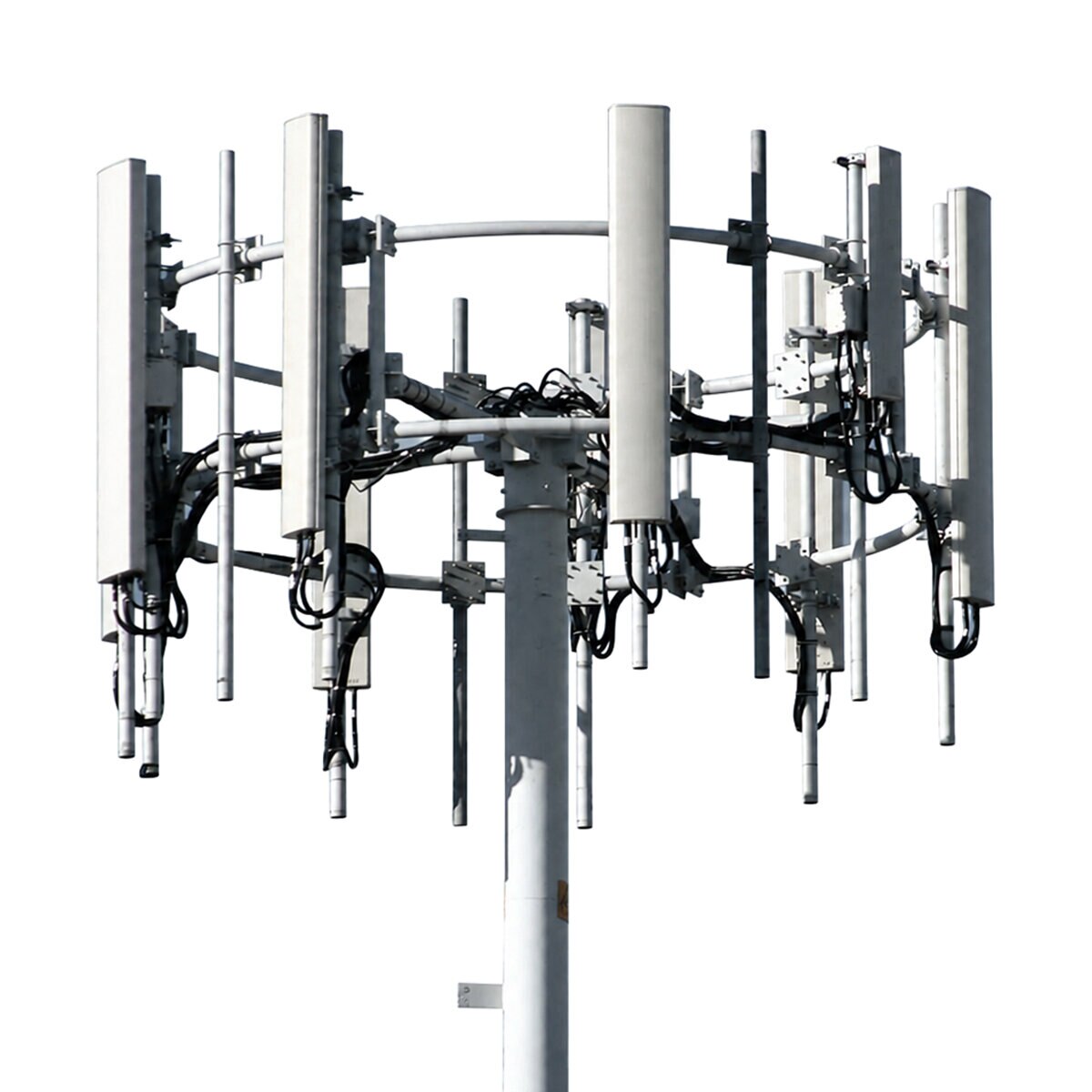 554804903970-ic-itemimage-1-063026.b1e1aaf8