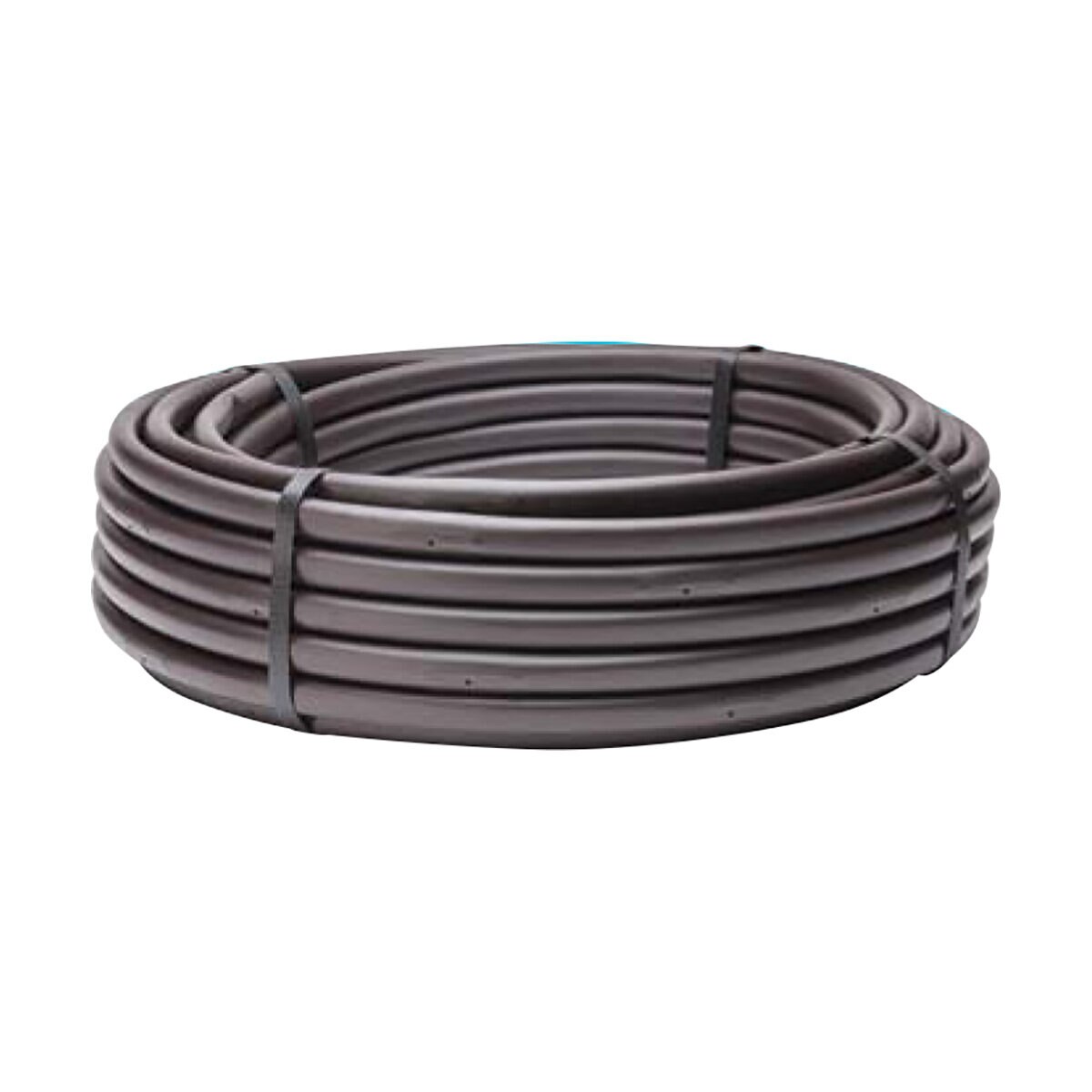 698145-item1-09192025.32d969ed