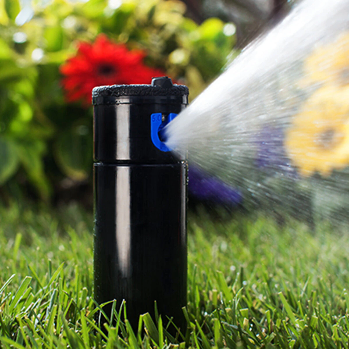 720836-1.fdd90b48