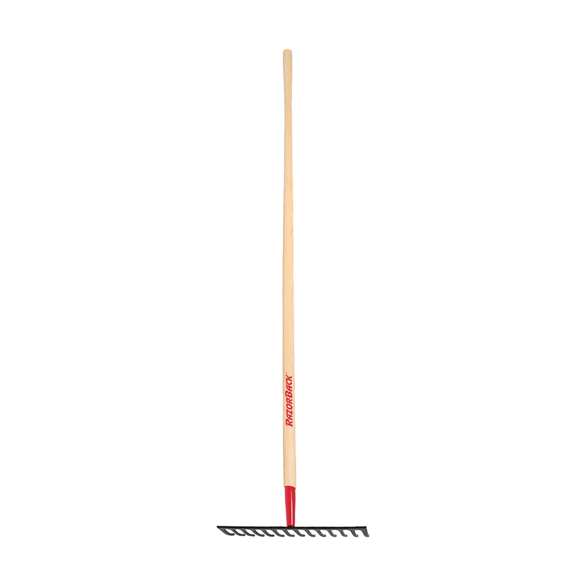 775445-item1-11112025.fbd48bcc