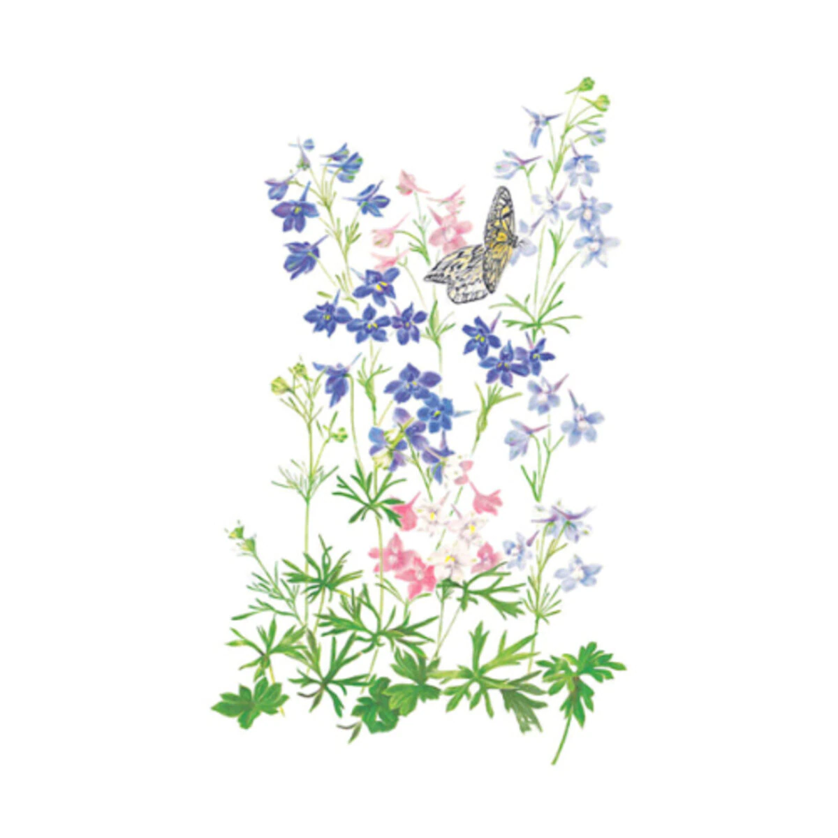 782472-item1-07242025.78cff6d8