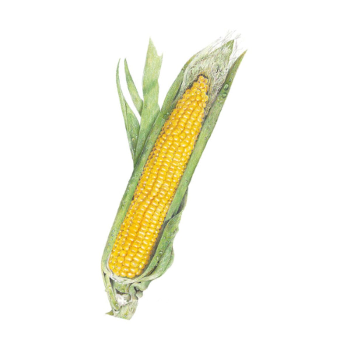 797294-item1-07242025.93a81992