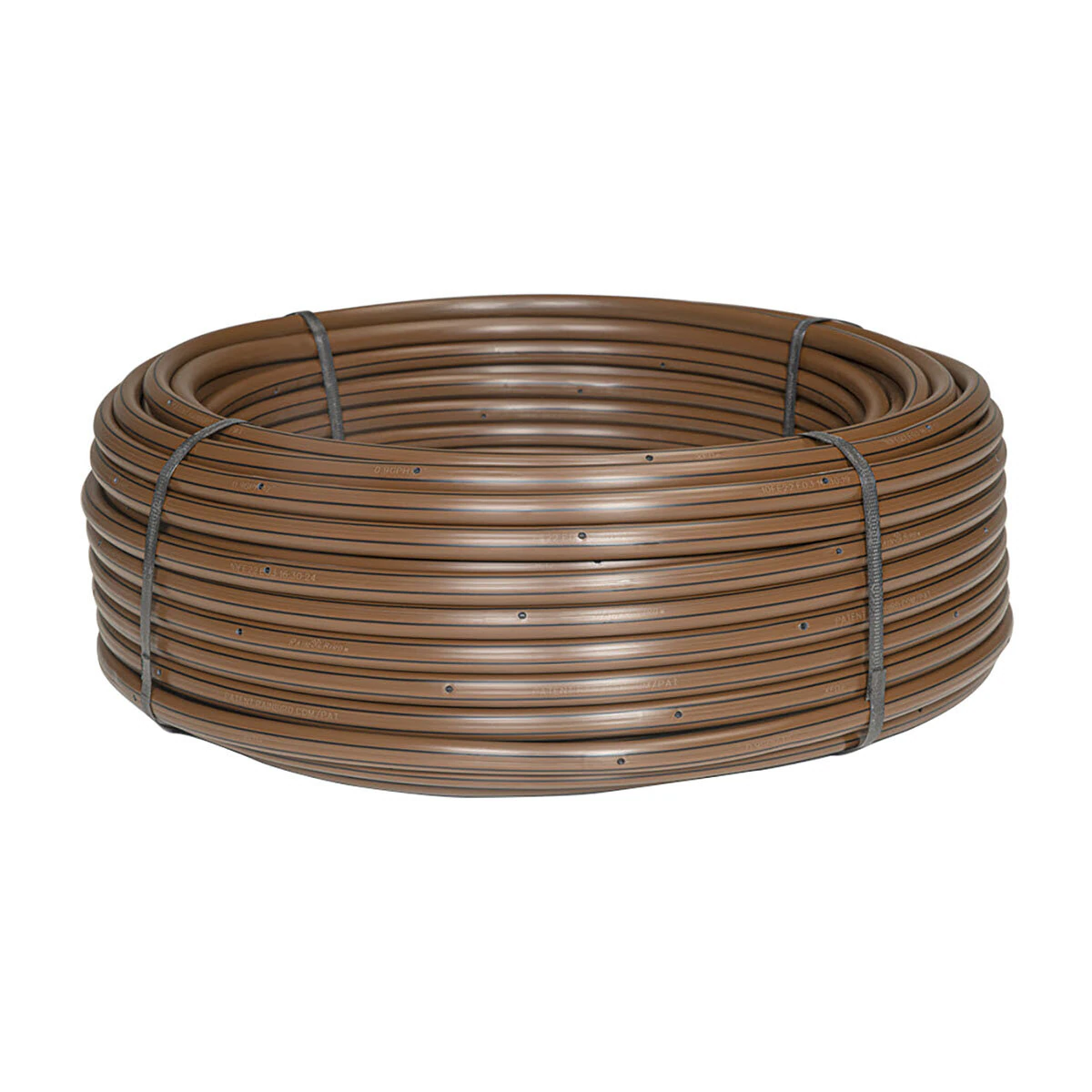 803296-1.2fe5a12a