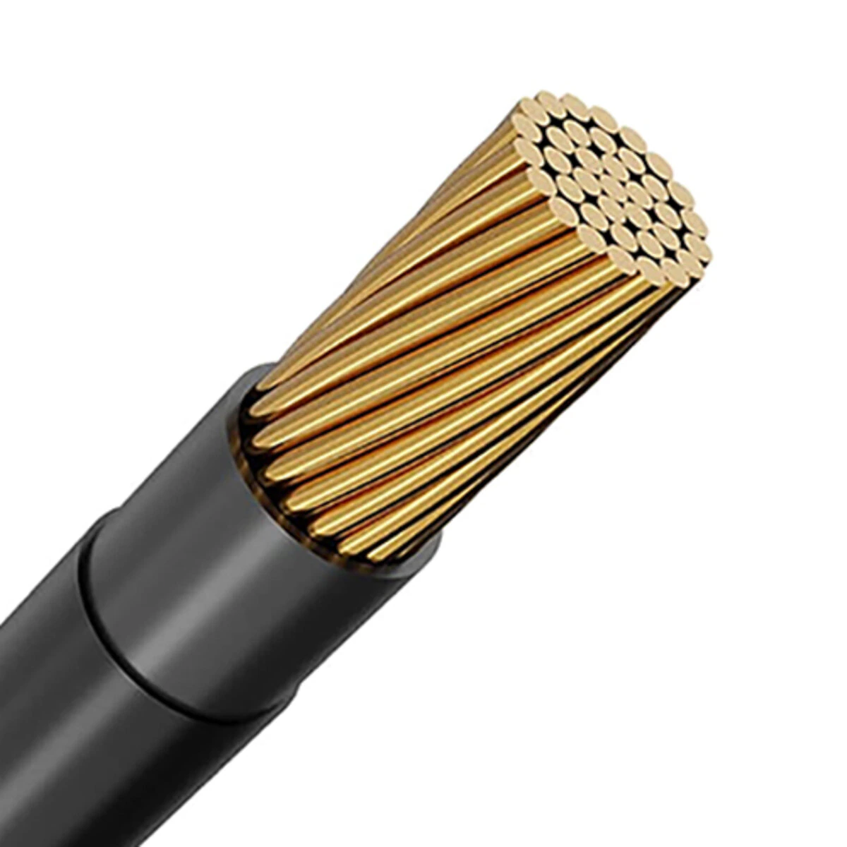 890535-item1-11252024.d4d98414