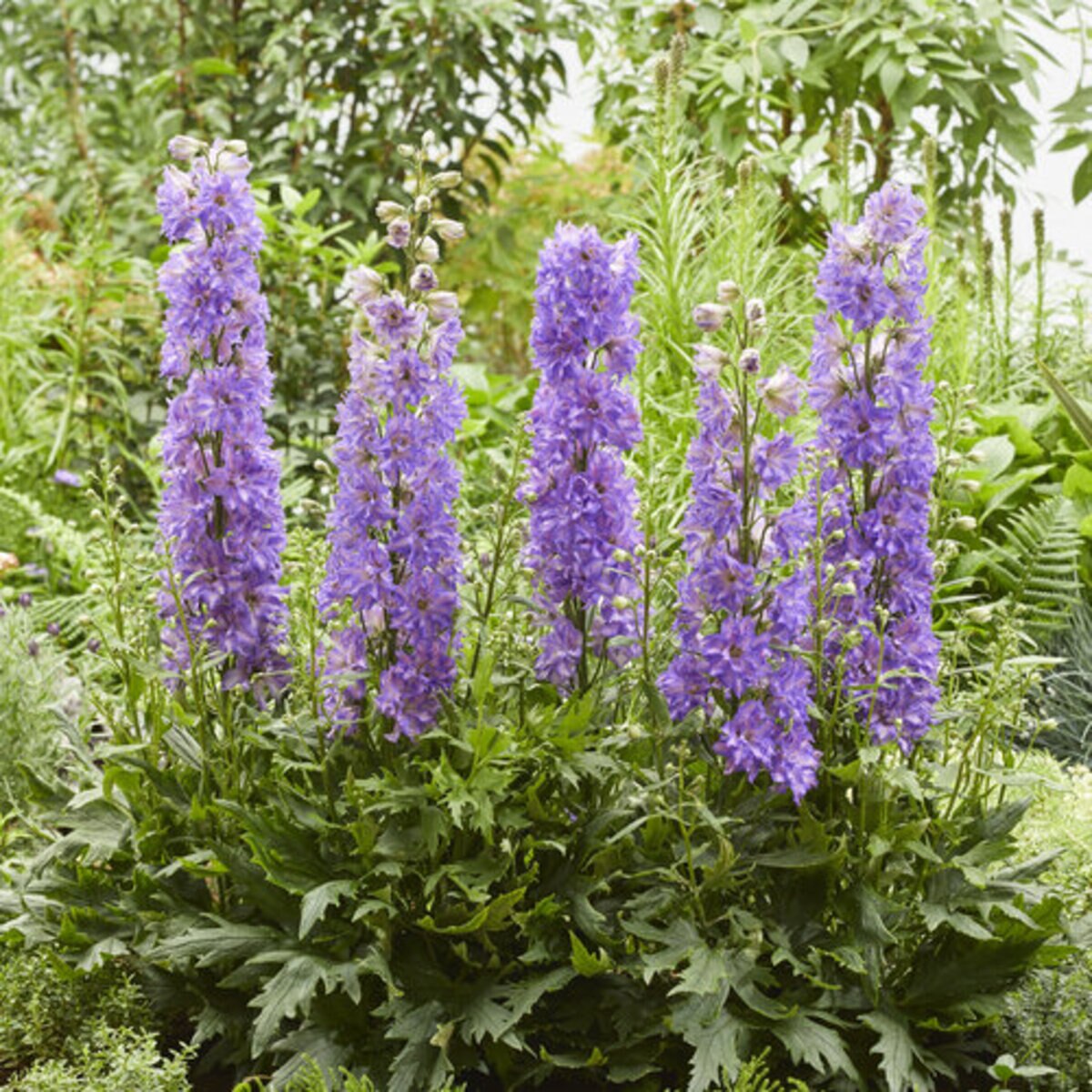 92468-1.4dccd57a
