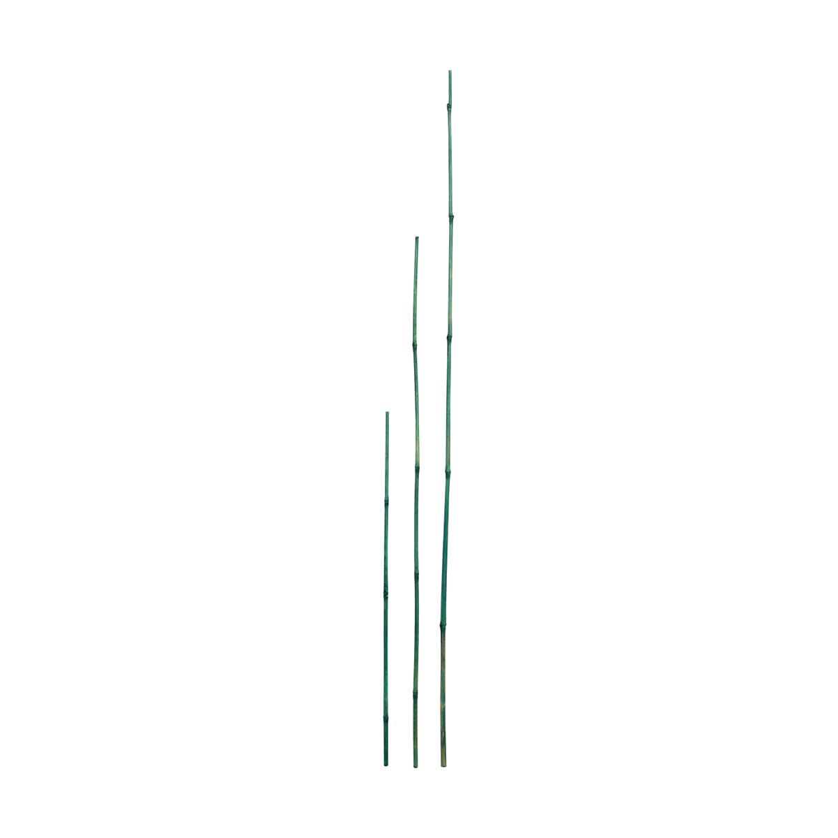 970615-item1-11252024.98dc4b1c