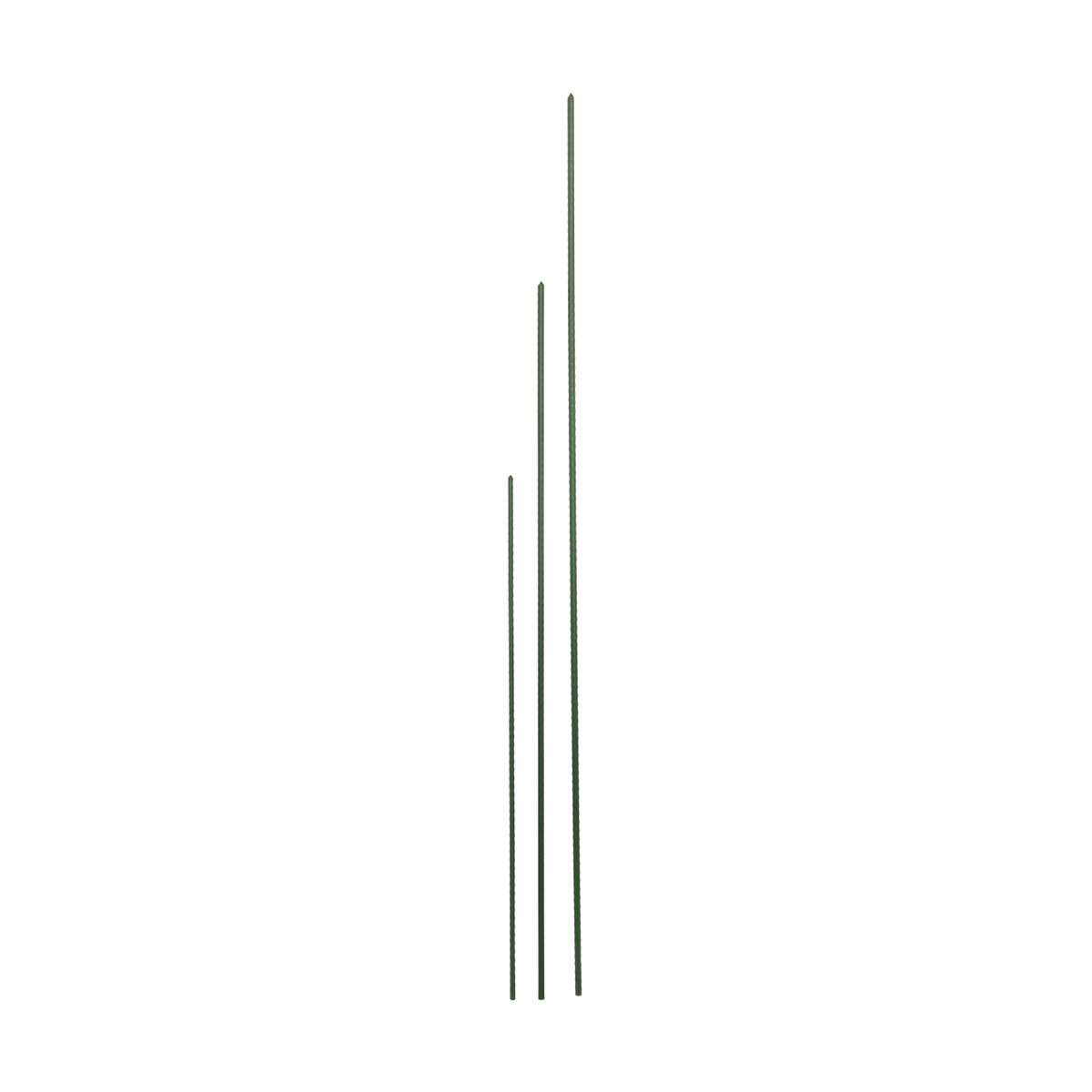 970637-item1-11192024.3d75aee6