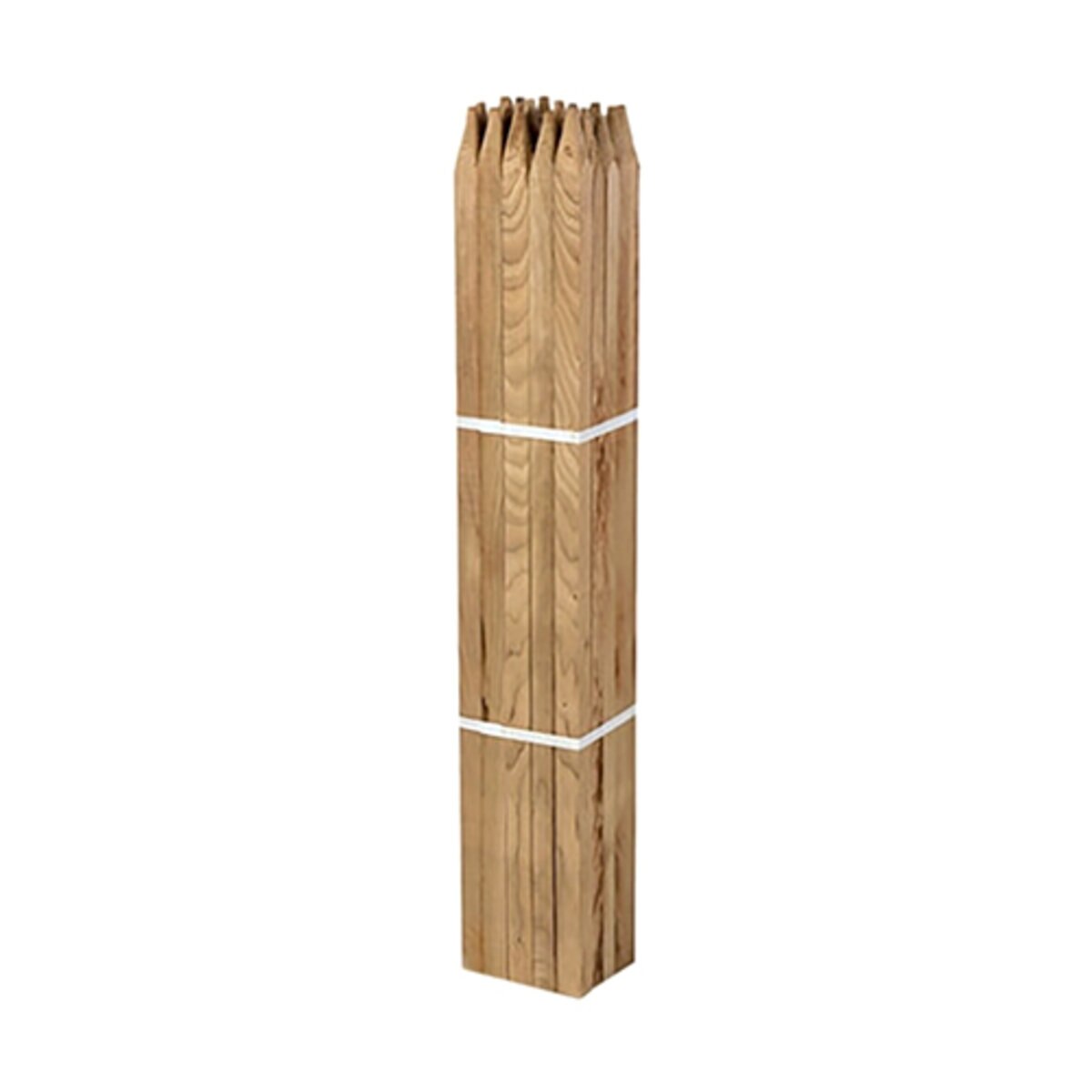 985010-item1-02202025.e5a40d5b