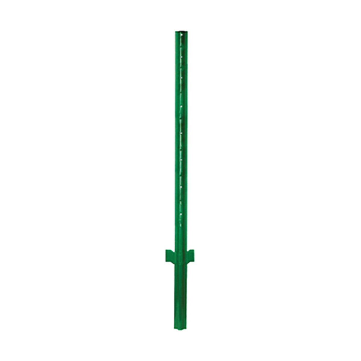 985085-item1-02202025.31177872