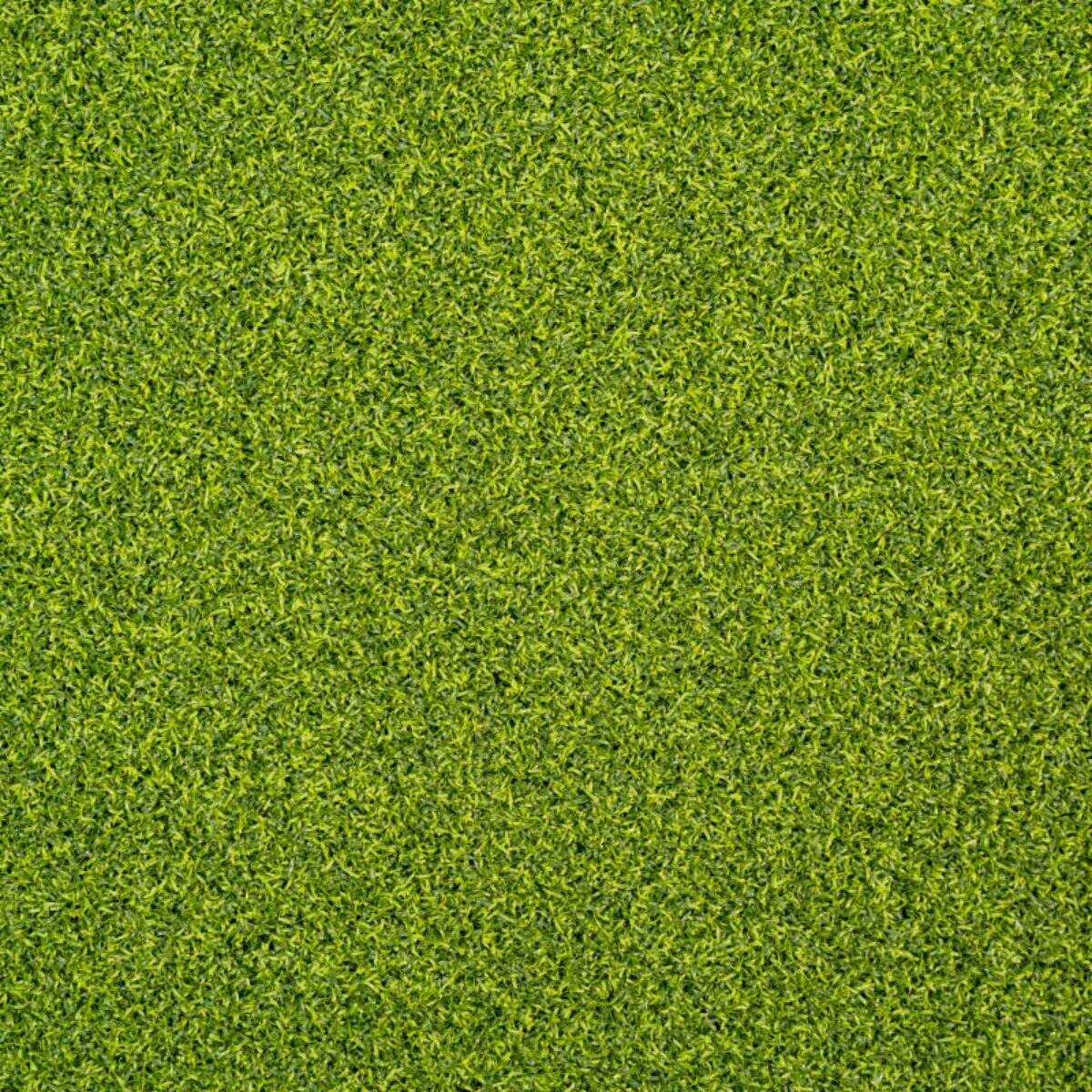 994811-item1-04182025.dfbd84cc