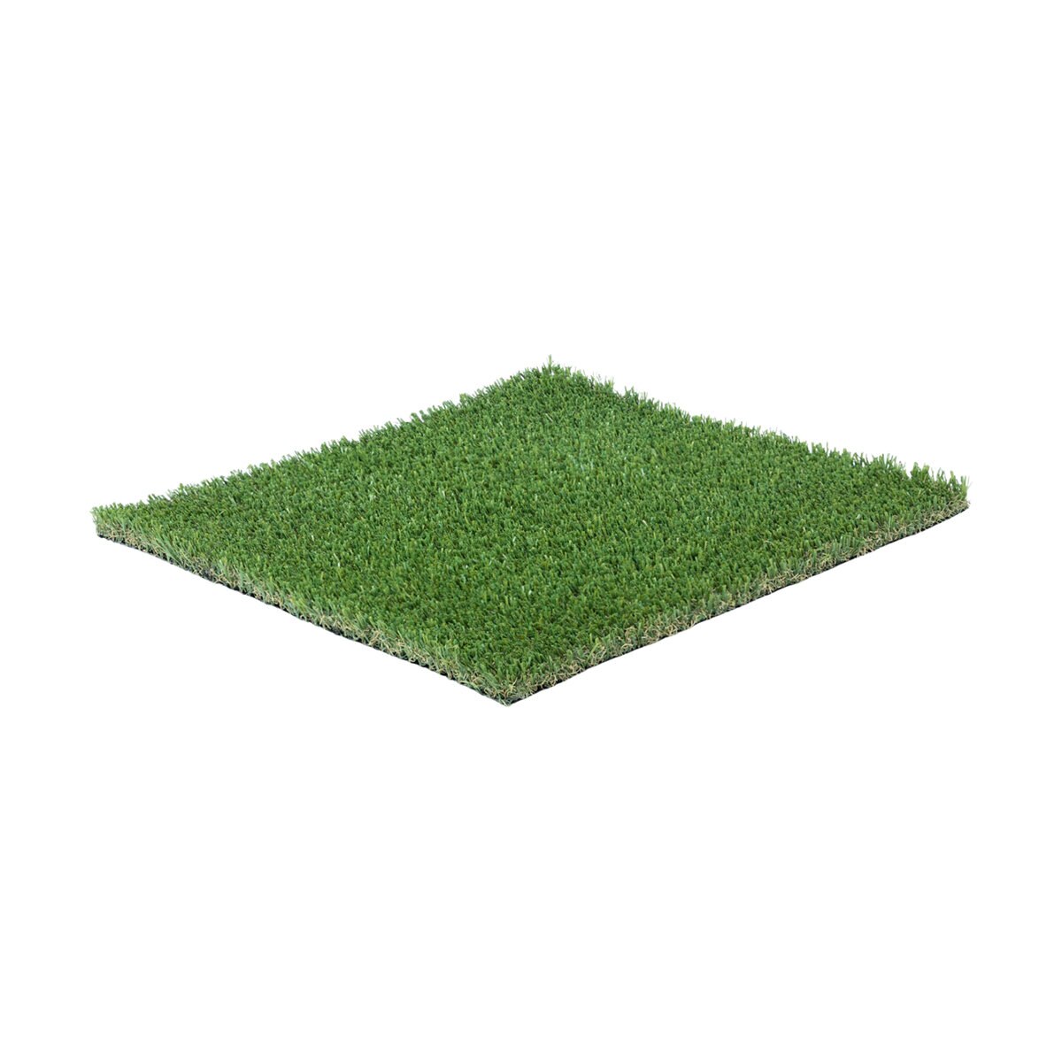 999588-item1-05292025.01449918