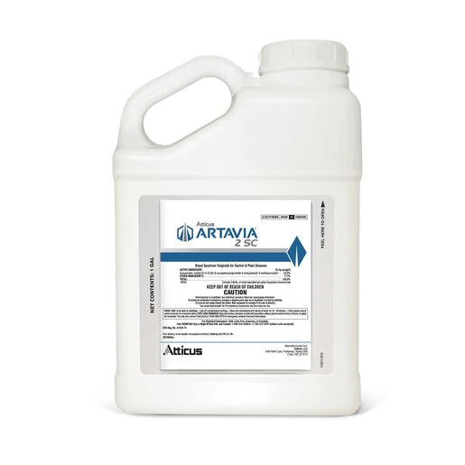 atticus-artavia-2-sc-1-gal-2000x2000-transbkg.aa712f60