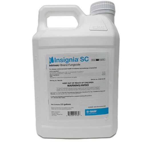 insigniasc-big-2023-268786.6672055d